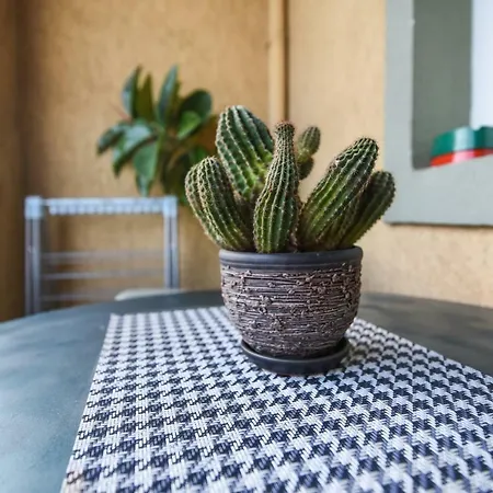 Victoria - Excellent Choice - Near Center Skopje